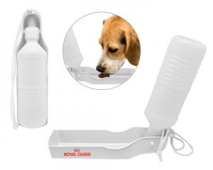 BOTELLA PARA AGUA FLOW PET personalizada