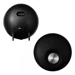 BOCINA RECORD personalizada